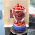 Import goji berries Chinese dried goji berry Ningxia dried goji berry for sale